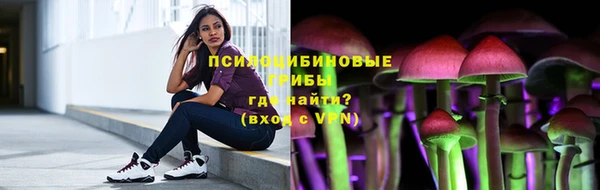 прущий лед Алзамай