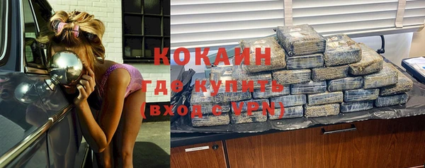 прущий лед Алзамай