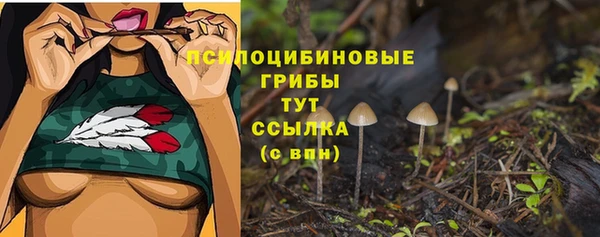 ALPHA PVP Алексеевка