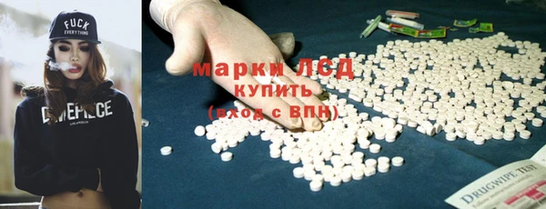 прущий лед Алзамай