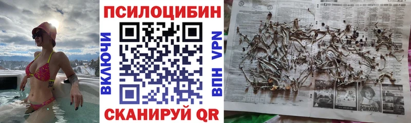 закладки  Пущино  Псилоцибиновые грибы прущие грибы 
